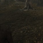 Skyrim – nevydaný trailer a reakcia mačky (video)
